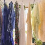 新緑の季節、洗濯と植え替えで癒されるkapuwaスタッフの休日